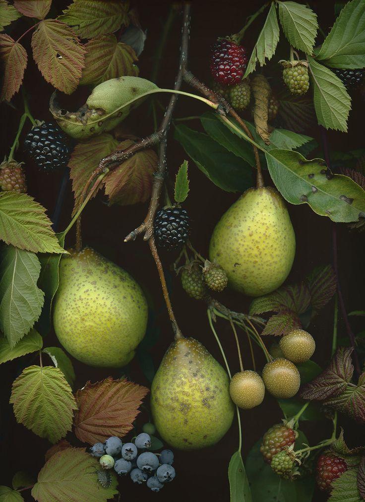 Rustic Bounty: Fresh-Picked Garden Delights